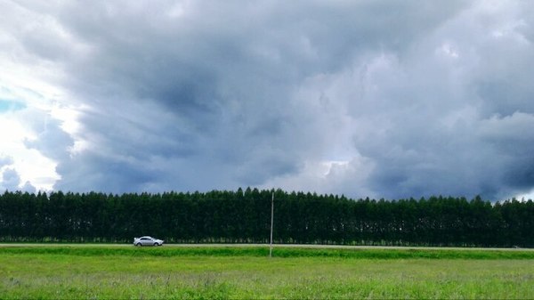 Half an hour before a thunderstorm (South of Bashkortostan) - My, Nature, The photo, 