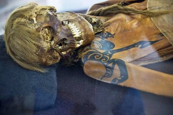 Tattooed mummies of Altai - Archeology, Altai, Pazyryk culture, Scythians, Nomads, Mummy, Longpost, Altai Republic