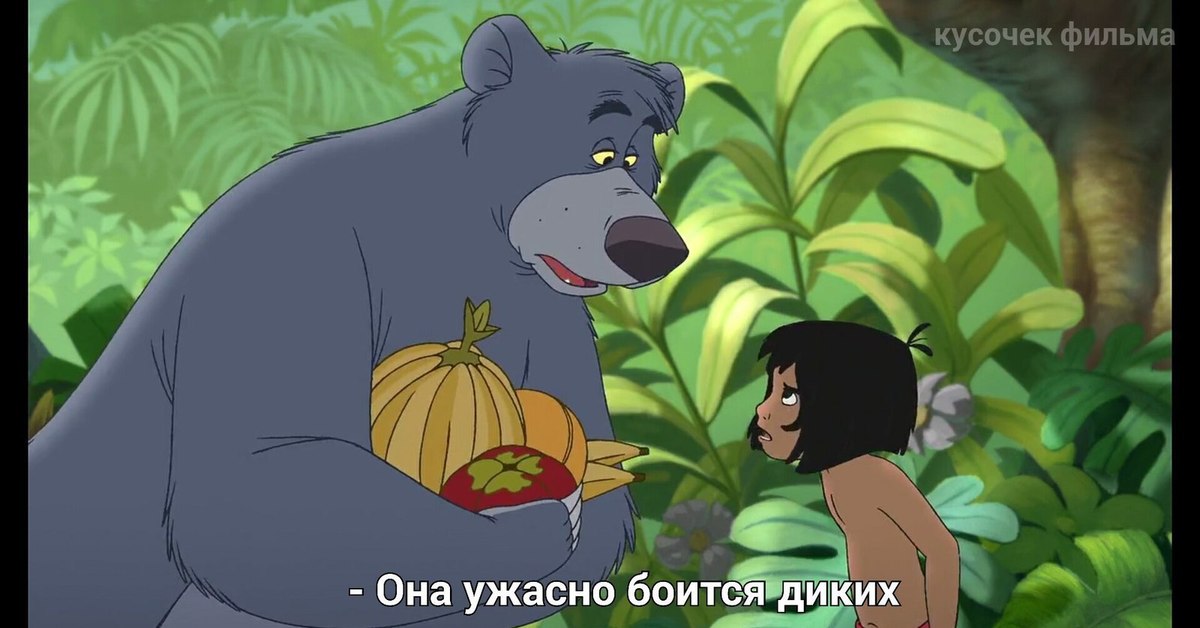 боязнь медведей как называется. медведь гризли злой. бойся дика. бойся дика. бойся дика.