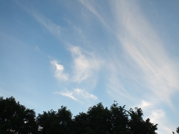 Evening sky over Bitsevsky Park - My, The photo, Walk, Sky, Evening, Bitsevsky Park, Longpost, My