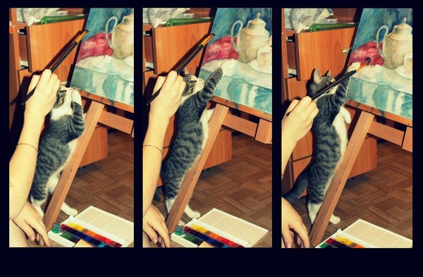 Sensei teaches to draw - cat, Teacher, Painting, School, Master, Homemade, The photo
