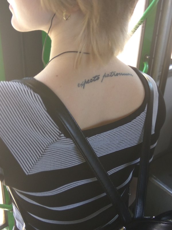 Поклонница Потного Гарри