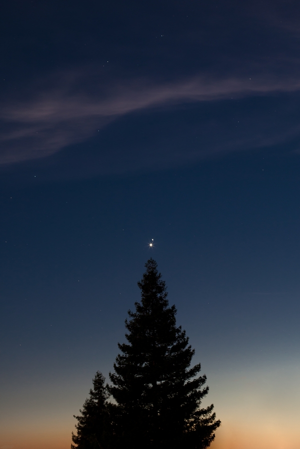 Jupiter and Venus - Reddit, Venus, Jupiter, The photo, Space, Tree