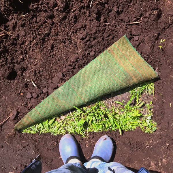 Дверь в лето