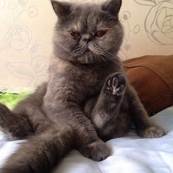 ��� ���� ���� ���?