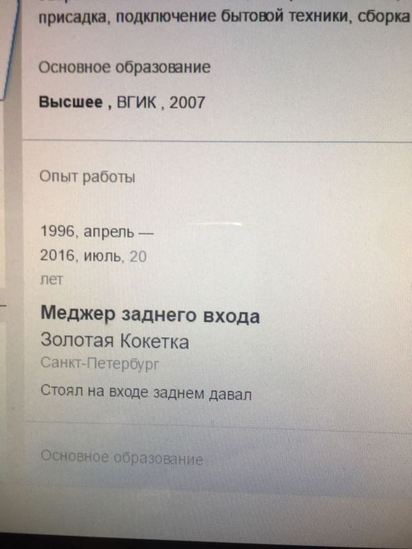 Расскажите о своем предыдущем месте работы... - Моё, Резюме, Менеджер заднего входа, Тролль