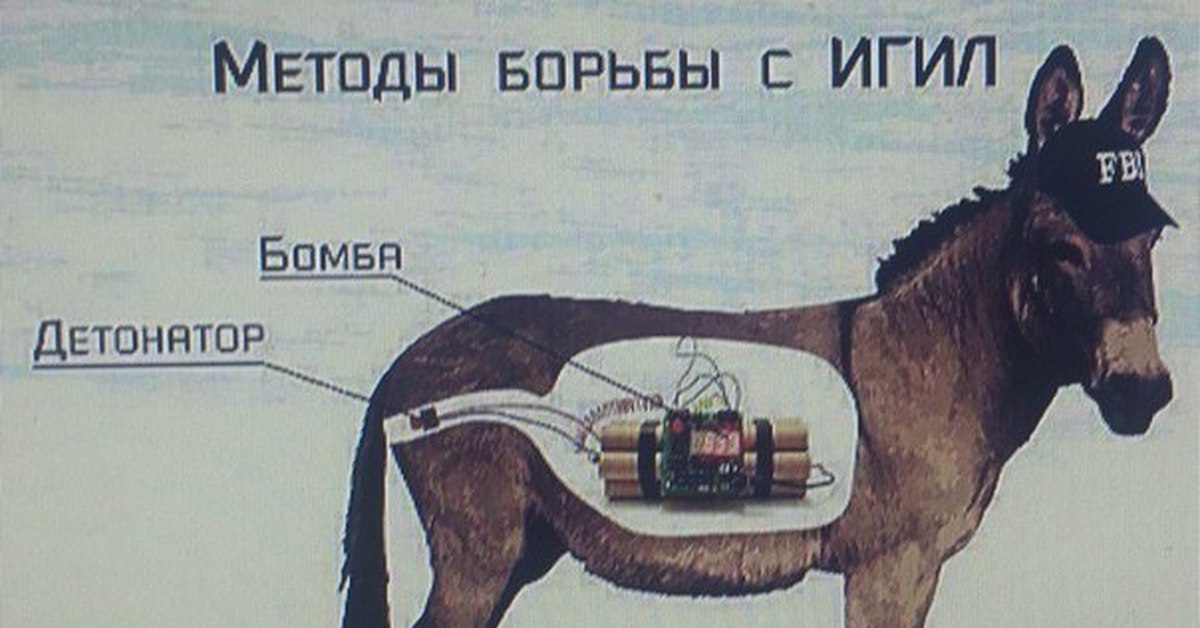 Что такое вырубить осла