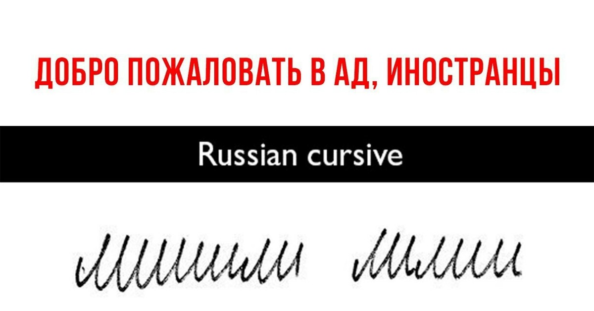 Лишишься как пишется. Лишили лилии. Шиншилла курсив. Шиншилла почерк. Шиншилла для иностранцев.