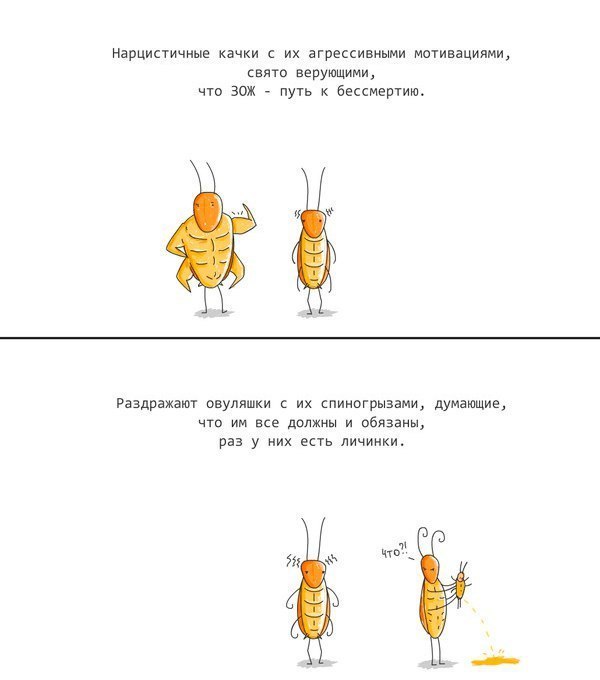 Таракан Саша - Картинки, Депрессия, Грусть, Длиннопост, ВКонтакте