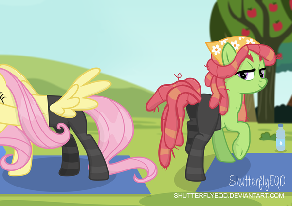 Yoga With Tree Hugger My Little Pony, Ponyart, Fluttershy, Tree Hugger, MLP Edge