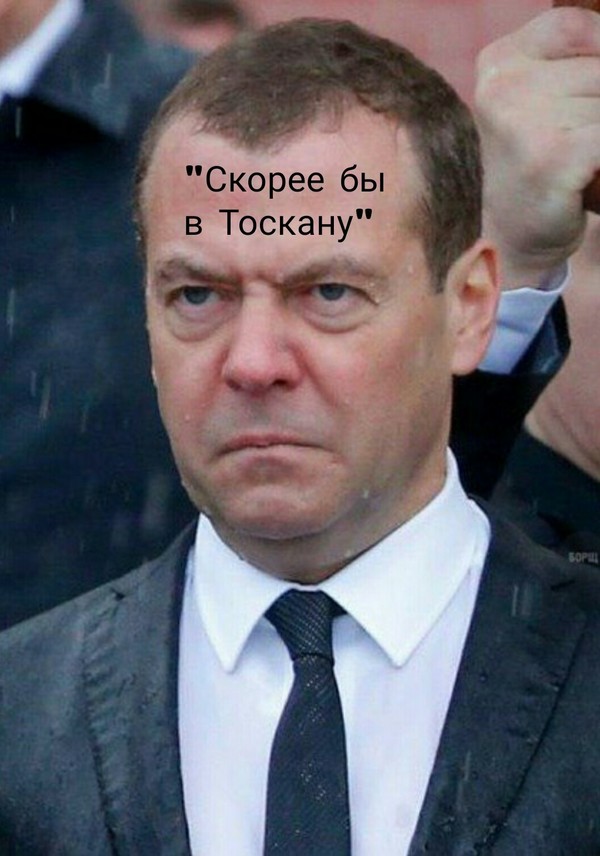 Patriot - Dmitry Medvedev, Politics, Patriots, Humor