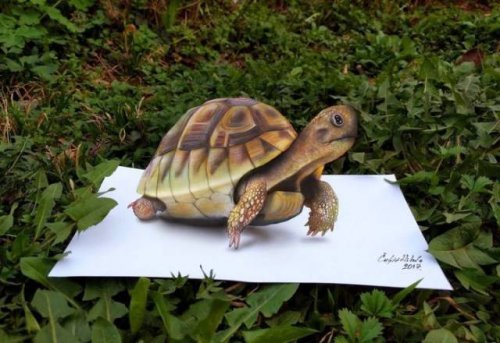 Incredibly realistic 3D drawings by Nikola Chulic - Longpost, 3D, Drawing, League of Artists, Artist