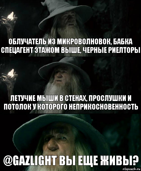 How's the detective of the year? - Gandalf, My, , , Where