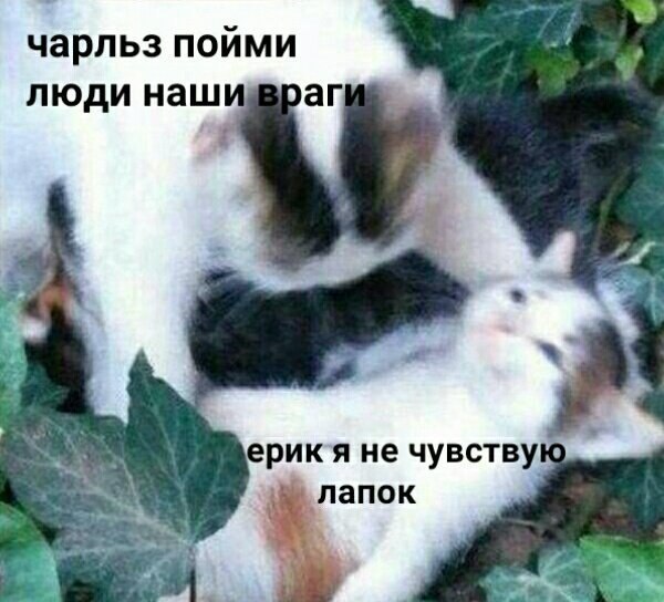 "����-�: ������ �����" ������������ ������