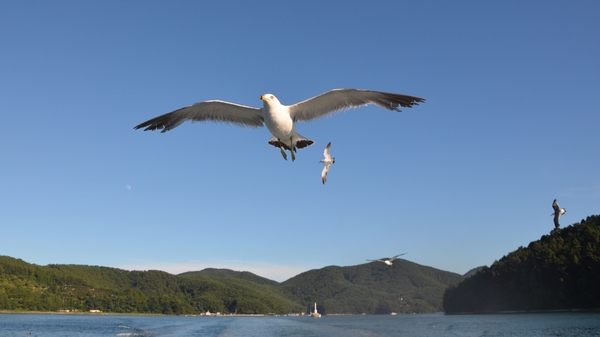 Как я рассветы/закаты фотографировал Море, Судно, Рассвет, Закат, Красота, Океан, Длиннопост