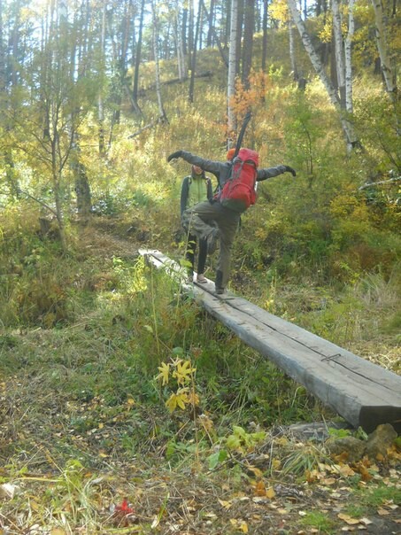 Path to the Big Cats - My, Baikal, Great Baikal Trail, Hike, Longpost