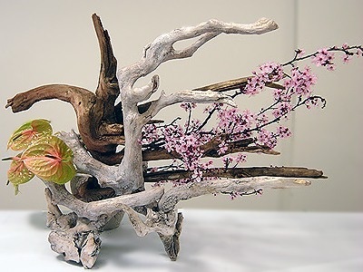 Ikebana - My, Poetry, Poems, Prilutsky, , Humor, Landscape, Ikebana