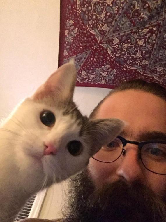 Я, программер и ковер