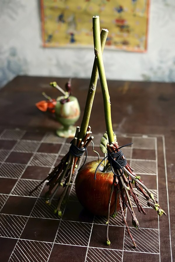 Panicle collection - My, Broom, Witch's Broom, Needlework, Handmade, Needlework without process, Longpost