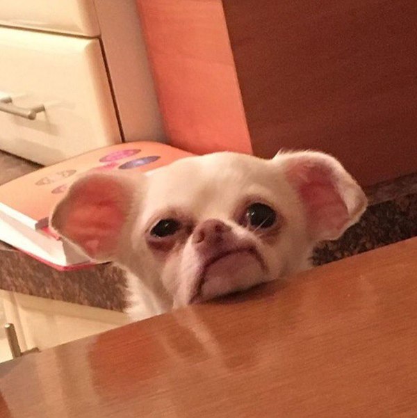       , , , , , 