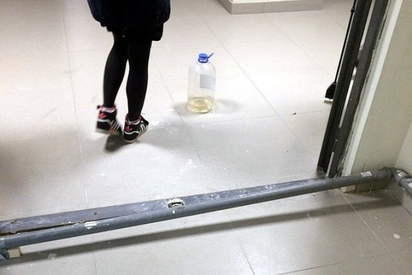 Зенит арена))) | Пикабу