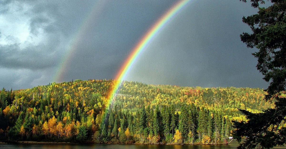 Радуга Осенью Фотографии