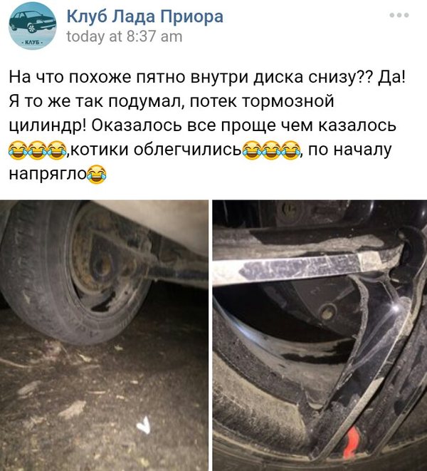 Как он это понял?