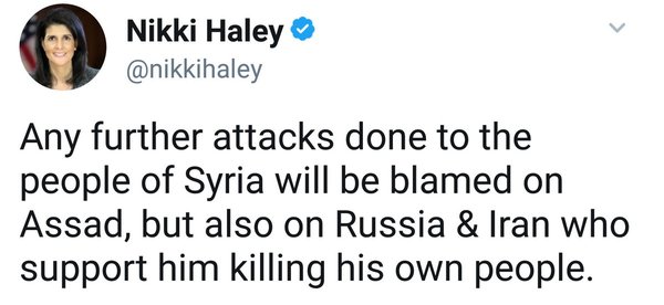 It's wonderful. She doesn't understand what she's saying at all. - Politics, USA, UN, Syria, Russia