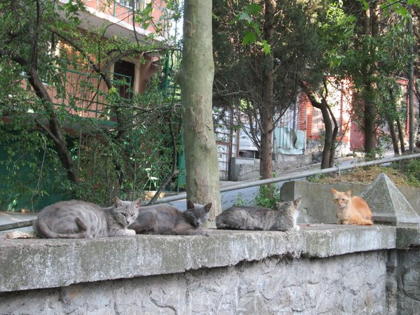 �������, � ������� ������ ���������...