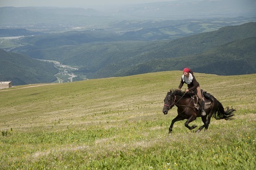 Dear riders, share your experience! - Horseback riding, Horses, Vacation, Horseback riding