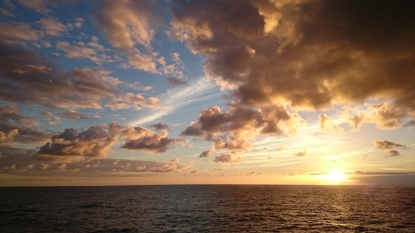 And so almost every morning at sea ... - My, The photo, Sea, , Work, Morning, dawn