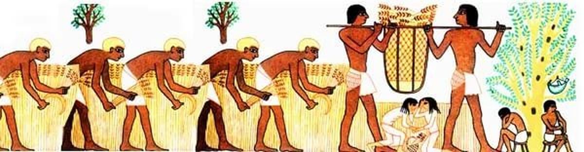 Земледельцы в древнем египте. Земледельцы и ремесленники в древнем Египте. Египетские земледельцы в древнем Египте. Труд земледельцев в древнем Египте.
