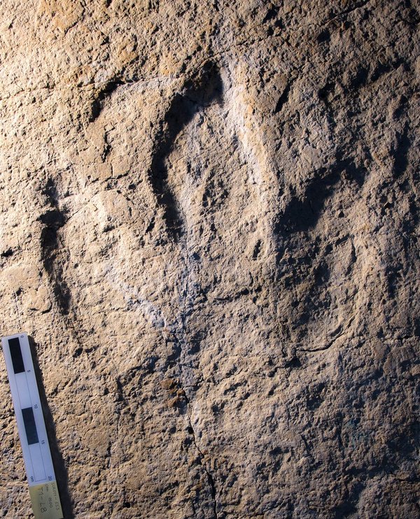 Footprints of a 152-million-year-old dinosaur discovered in Switzerland - Paleontology, Dinosaurs, , Switzerland