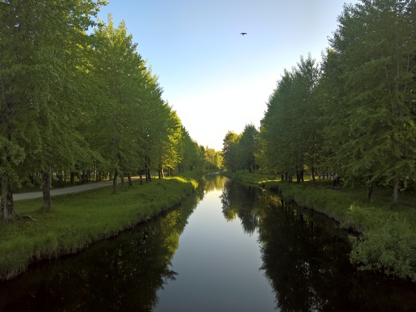 Chibyu River - My, , Ukhta, Nature, River