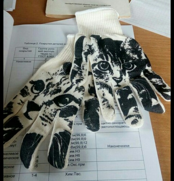 Factory Chemist's Gloves - Not mine, Factory, cat, Means of protection