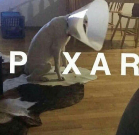 Rebranding - Pixar, Images, Dog, 9GAG, From the network