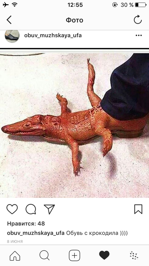The latest fashion or the squeak of a crocodile? - Shoes, From, Crocodile, Instagram, Fashion what are you doing, Crocodiles