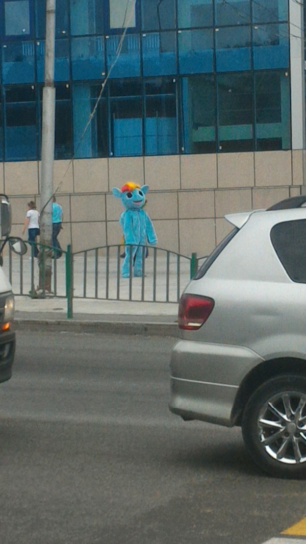 I met such a character today near the shopping center - My, My little pony, Petropavlovsk-Kamchatsky