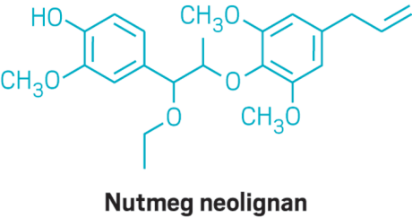 From nutmeg, a substance was obtained that cools 30 times stronger than menthol. - , Chemistry, League of chemists, Opening, Menthol, The science, Translation, Article, Longpost