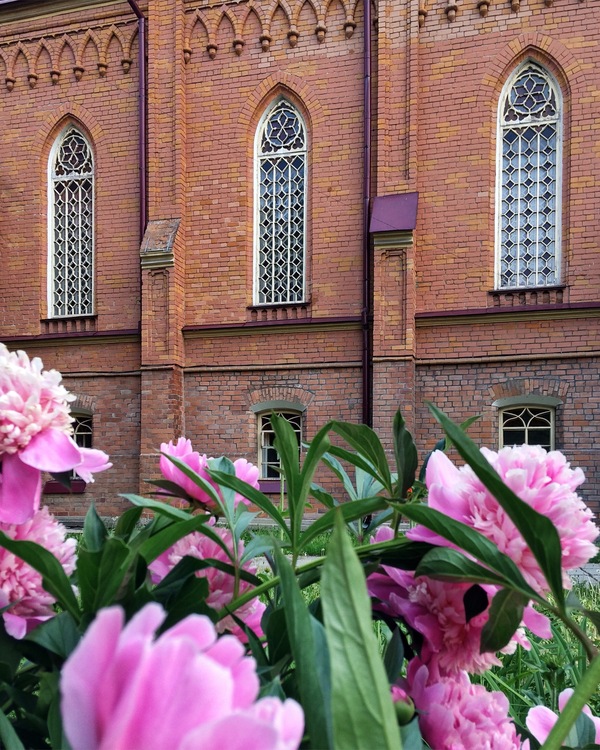Gothic in colors - Irkutsk, Russia, Gothic, Architecture, The photo, Flowers, Peonies, Church