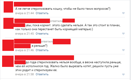 О котятах, потеряшках и подкидышах - Моё, Кот, Бомбануло, Наболело, Крик души, Кошки и котята, Длиннопост