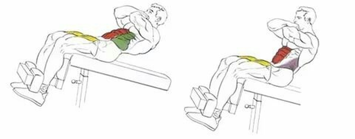 Правильно качать пресс на наклонной скамье. Подъем корпуса на наклонной скамье на пресс. Подъем туловища на наклонной скамье. Пресс подъем туловища на римском стуле. Подъем корпуса на римской скамье.