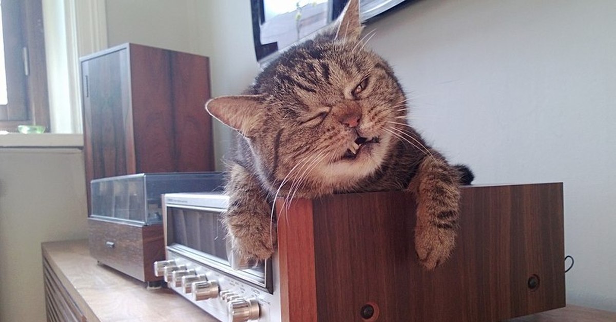 Девушка с пальцем класс. Мегафон фото. Мемы про потоп на кухне. Буяка буяка. Включи совсем новую.