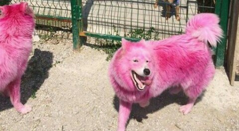 ����Ĩ��!!� ����������� �������� ������� ���� ������� ����.�� ������ �������� ������ �������,� �� ��� ����� ������� ������������.