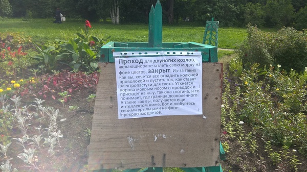 Found in an arboretum in Yekaterinburg - Yekaterinburg, Announcement, Disgusting