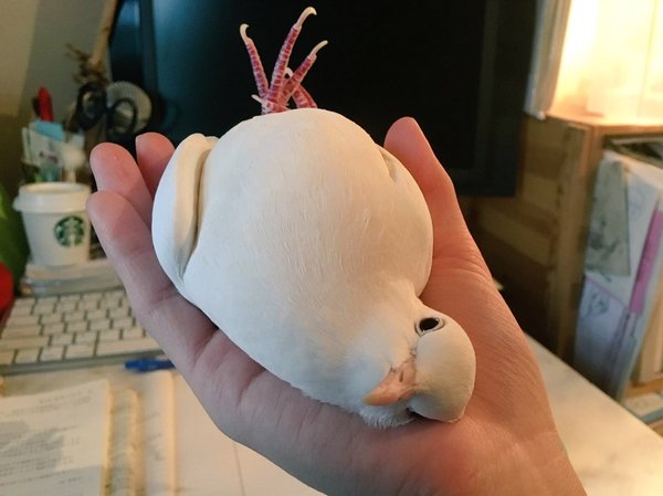 Жирненький птиц