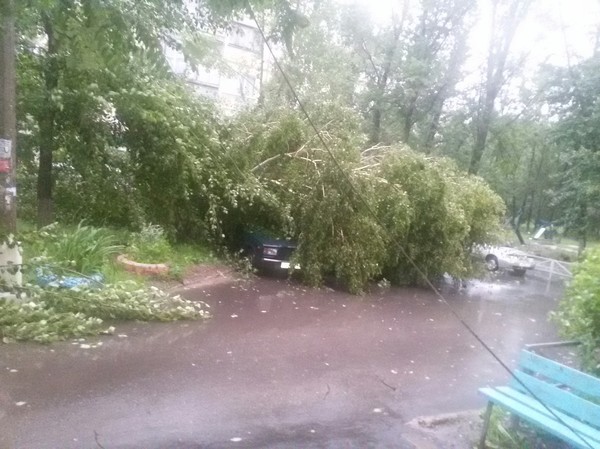 Matizik hid from the rain. - My, Ulyanovsk, Summer, Hurricane