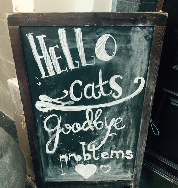 ��� ���������� ��������� ��������� ����