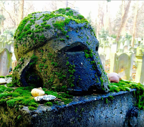 �������� ������� ��� �� ���...