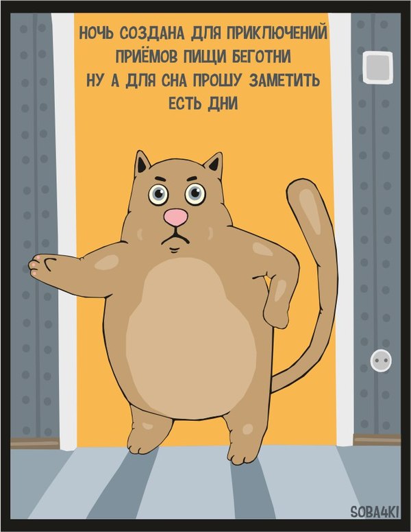 ������ ����.